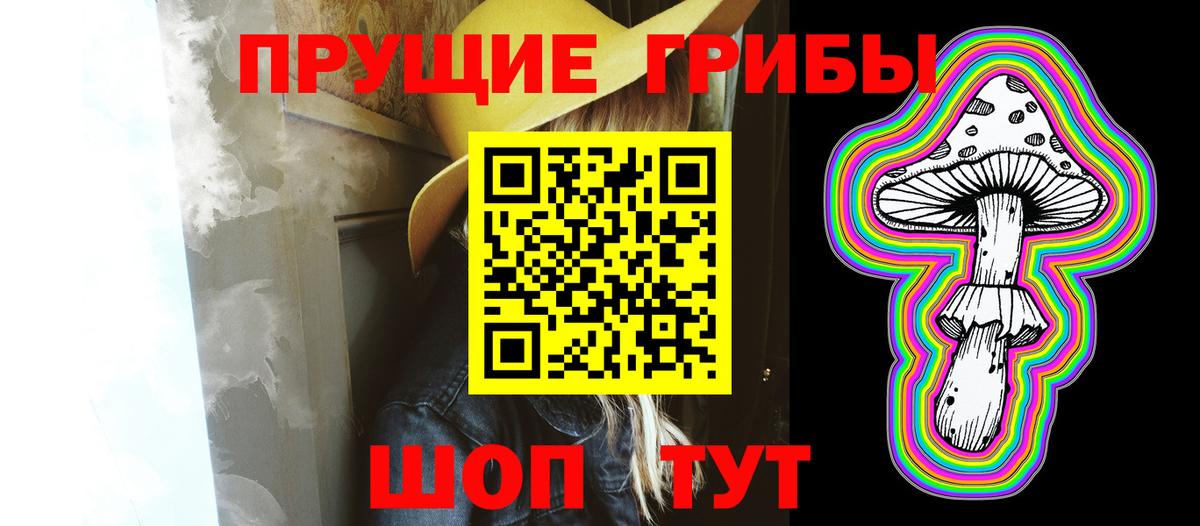 Бугуруслан  Псилоцибиновые грибы прущие грибы  Галлюциногенные грибы Psilocybine cubensis  Вход с VPN 